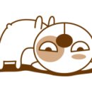 자닮세무회계세무사송애경사무소 이미지