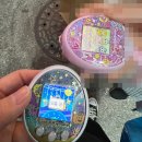 241121 토로토로 스튜디오 / 나의 집에 초대해_다마고치 팝업스토어 방문 후기