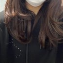 야이씨 아무것도 안했는데 벌써 벚꽃이 : I&#39;m fearless Ha;