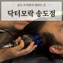 컬러프라자 | 송도두피관리 인천탈모 케어로 유명한 '닥터모락 송도점' 관리 받고 온 솔직 후기