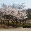 방화근린공원 이미지