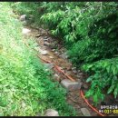 여주-0523 이미지