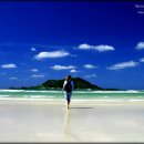 높은음자리 - 달서구 이곡서로 15 | 높은음자리