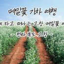 대한중소여행사협동조합 이미지