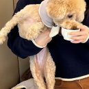 털보손만두 이미지