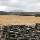 제주 둘째 날 - 도두해녀의집, 제주돌문화공원.