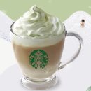 트리벅스 이미지