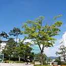 한양대학교 이미지