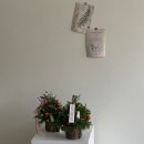 소로3-58(혁신도시) | 원주꽃집 감성 가득한 원주혁신도시 플라워샵 방문 후기