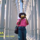 펫코랜드 이미지