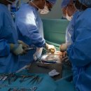 참본의원 이미지