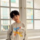 플루토