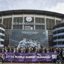 퍼플타이어 이미지