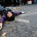 과일(노점) 티스토리