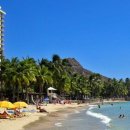 와이키키 이미지