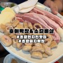 소3-123 | [부산/초량] 초량 돼지막창 호야막창&amp;소갈비살 현지인맛집 내돈내산 후기
