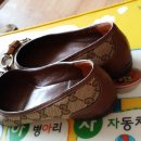 살구텍 이미지