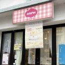 젤리포 | 은행동 귀카(귀여운카페) 젤리포에 중앙말랑작전본부