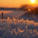 하임한의원 이미지