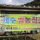 계수농장 이미지