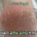 레푸스강남세곡점 이미지
