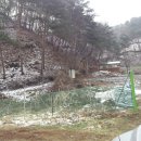 영심농장 이미지