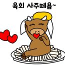 마장동육회집 이미지