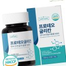 MAX 이미지