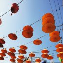 베트남퀴논거리 이미지