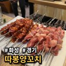 마라양꼬치도 있고 맛있는 요리가 가득 화성 맛집 &#39;따봉양꼬치&#39;