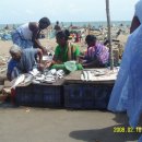 마리나비치 이미지