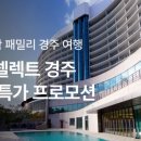 마이셀렉트