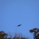 강릉식당 이미지