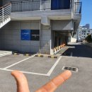 동산개발