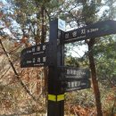 큰고리봉 Daum카페