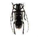 유리반점 이미지