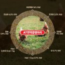 에이티면역사료 이미지