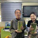 정귀숙 강원도민일보