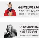 김호가발·탈모두피