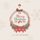 &lt;파티팡24 천안점&gt; 로하스타일 (내돈내산)크리스마스 용품준비