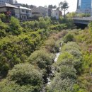 운중공원 이미지