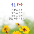 허세 이미지
