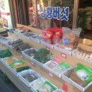 보광약업사 이미지