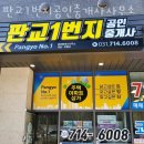 2단지내1번지공인중개사사무소 | 성남부동산 판교1번지공인중개사사무소 신축빌라