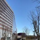 지도로13번길 | 백예린 2025 단독 콘서트 후기 (인스파이어 아레나 시야 및 교통편 정보 포함)