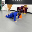 한국체대우리태권도 이미지