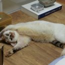 아이쁘니 - 강서구 양천로 489 | 아이쁘니