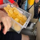 파인앤듀 | 시밀란섬 투어 씨스타업체 비교 :: 카타마란 스노클링 포토스팟 가격