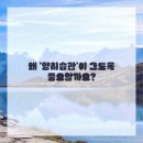 라이크치과의원 네이버블로그