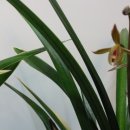 대훈유통 이미지